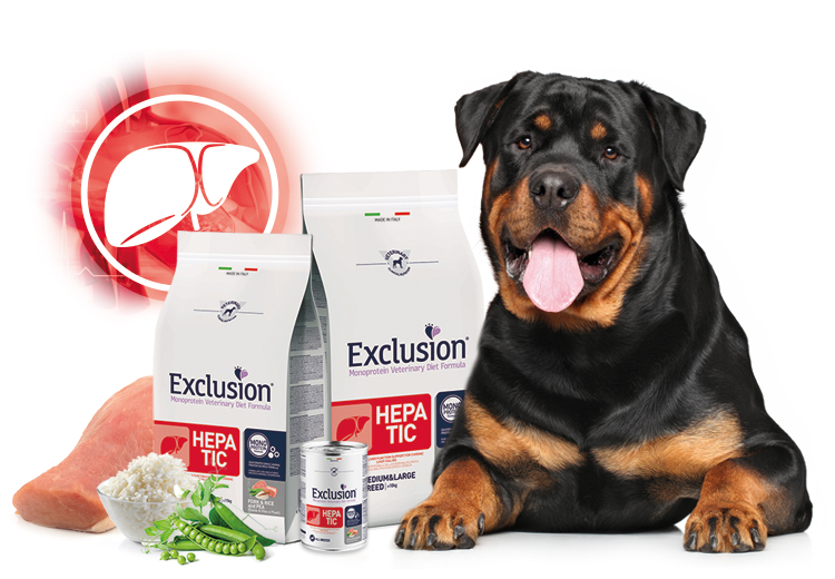 Exclusion Hepatic per cani con insufficienza epatica