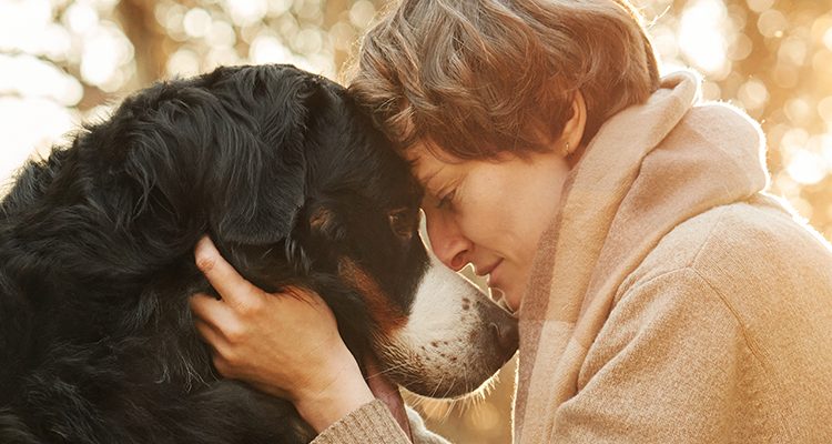 scegliere il cane ideale per te