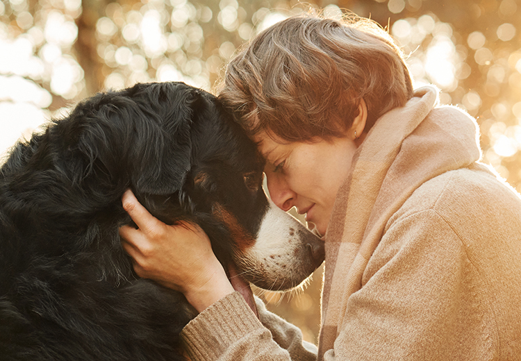 scegliere il cane ideale per te