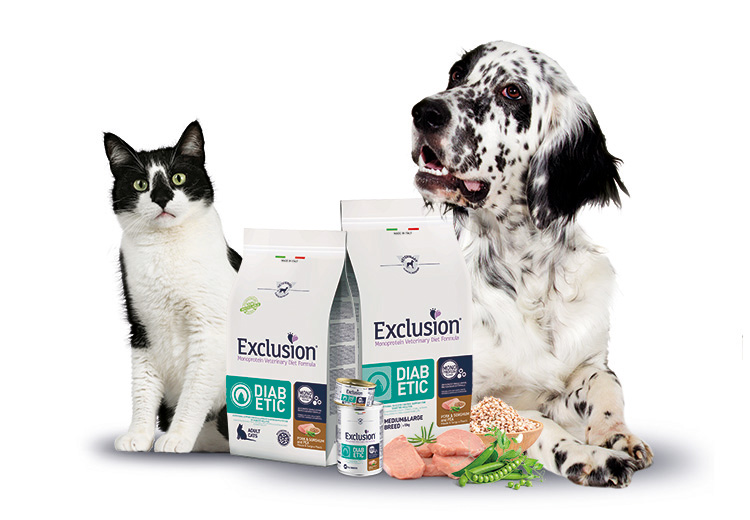 Exclusion Diabetic cane e gatto